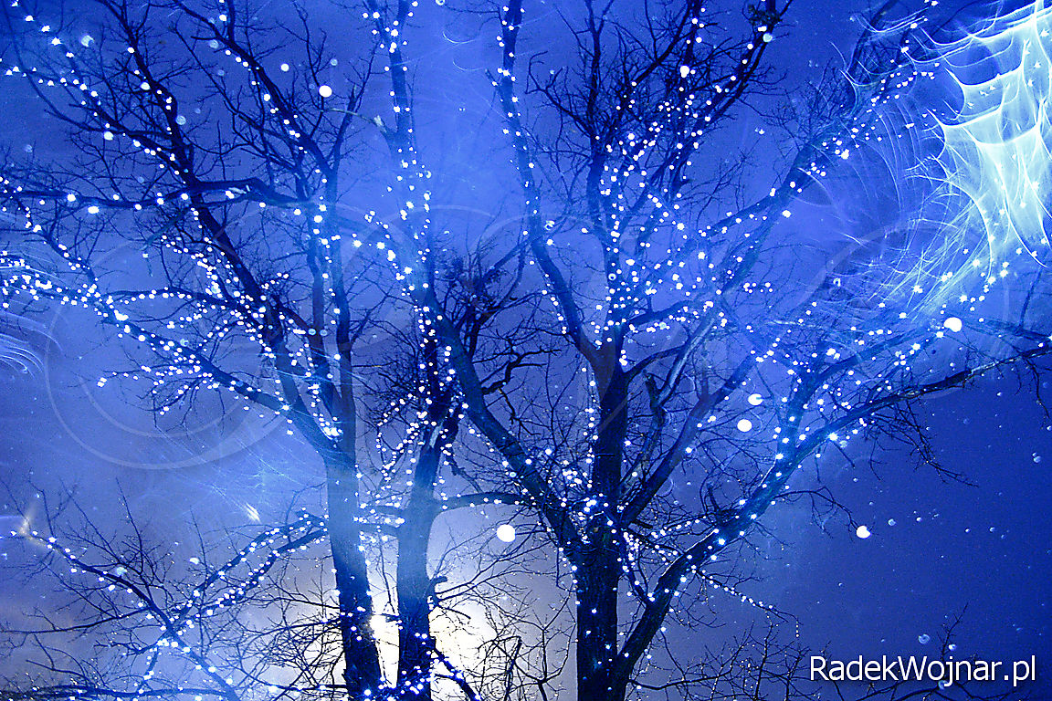 Drzewo udekorowane świątecznymi lampkami, fotografowane obiektywem mokrym od płatków śniegu