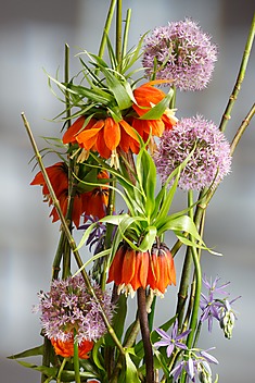 orientalne kwiaty cięte ułożone w aranżację