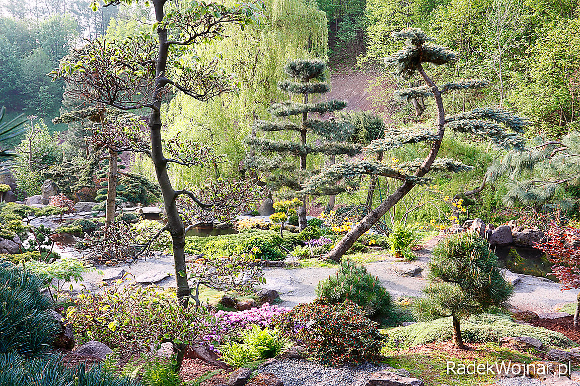 wiosenny ogród japoński w dolinie