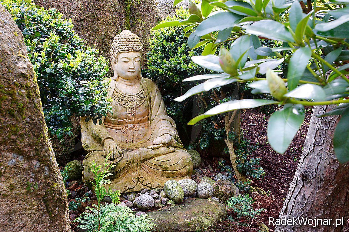 rzeźba medytującego Buddy wśród kamieni w ogrodzie