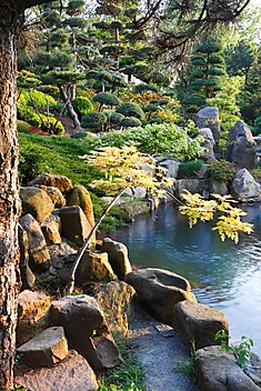 otoczony kamieniami staw w ogrodzie japońskim w miejscowości Jarków
