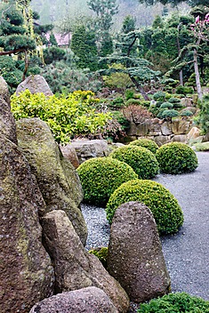 japoński ogród kamienny w Jarkowie
