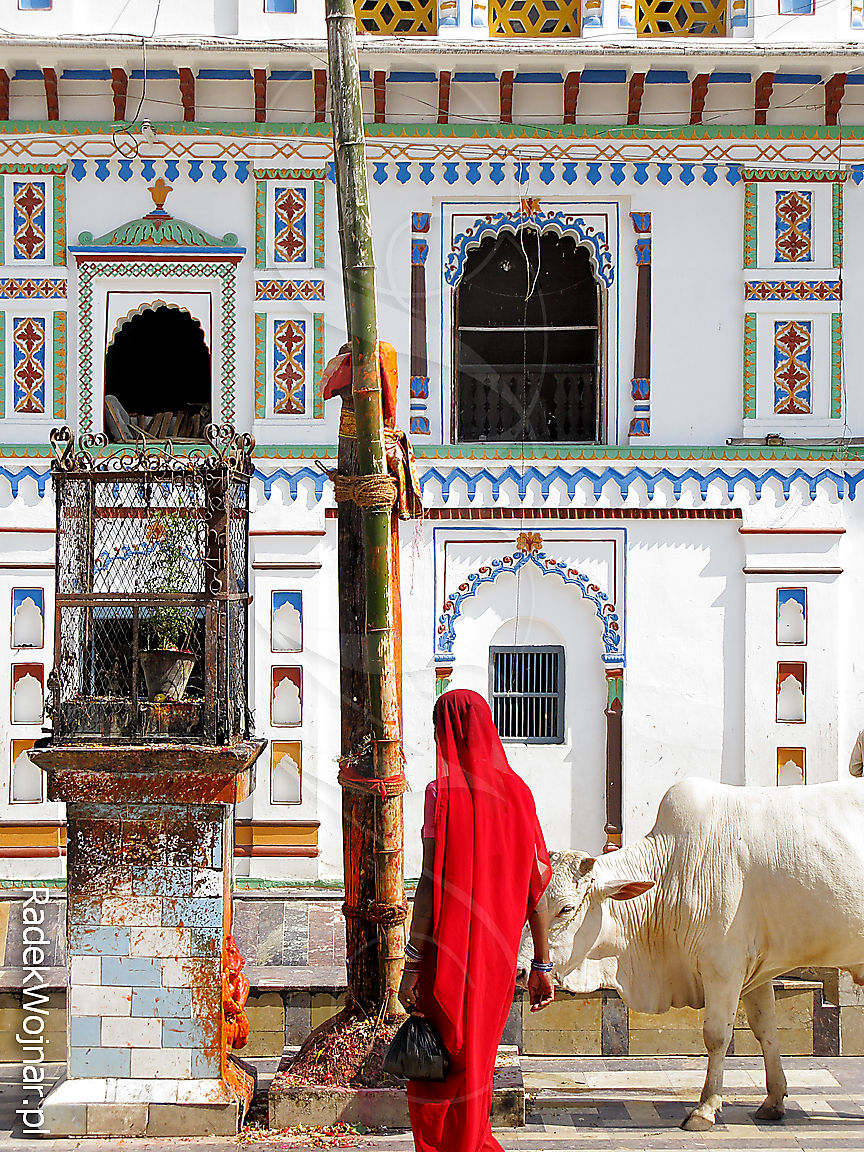 Główna świątynia w Jankpur gdzie krowy są naprawdę święte