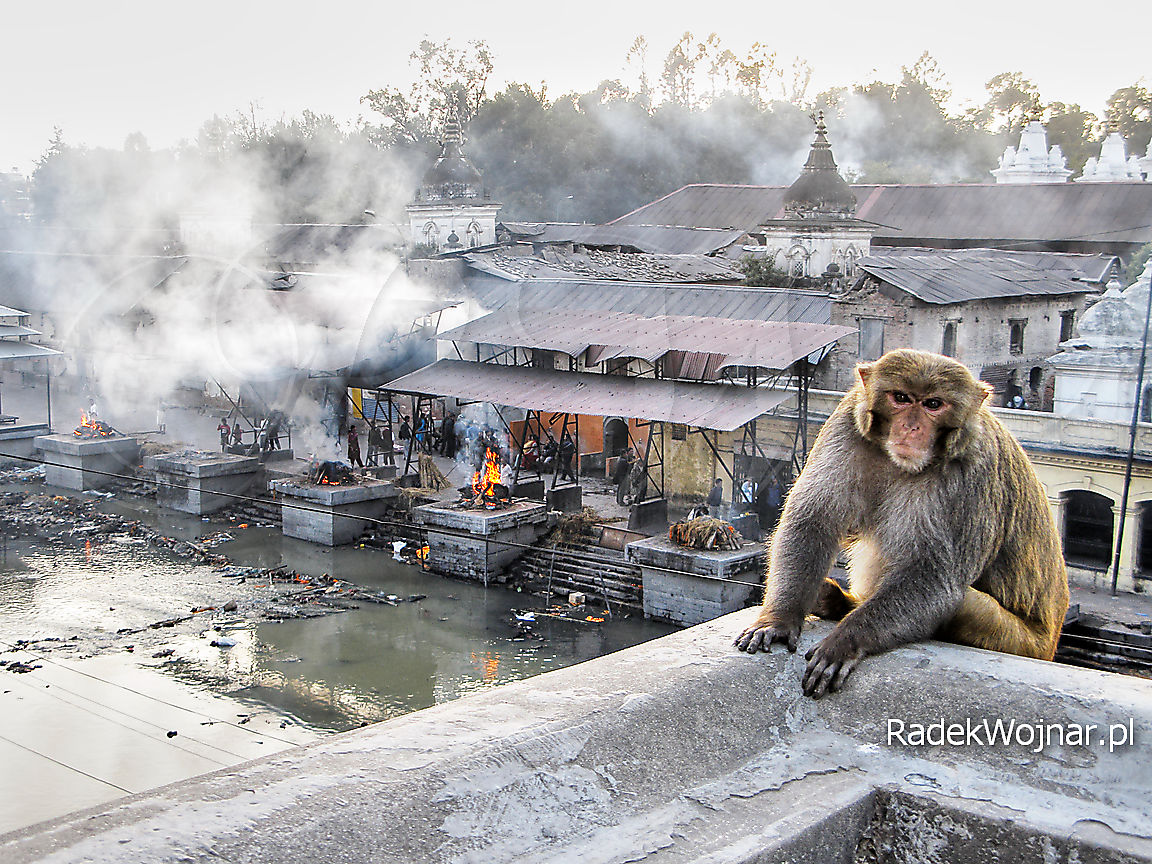 Płonące stosy pogrzebowe w miejscowości Pashupatinah nad rzeką Bagmati, Nepal
