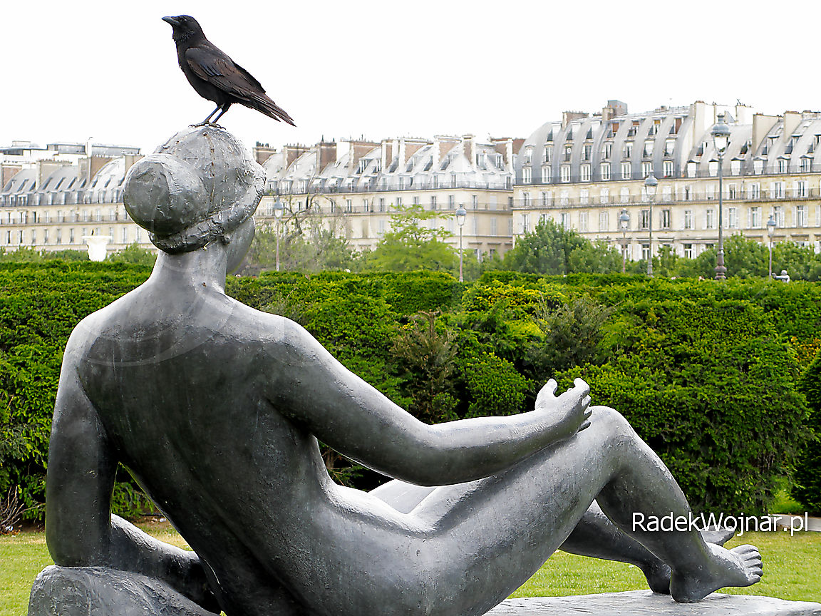 Ptak bezwiednie srający na głowę paryskiej parkowej piękności w negliżu