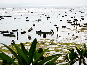 Indonezyjscy zbieracze wodorostów kończą dzień pracy