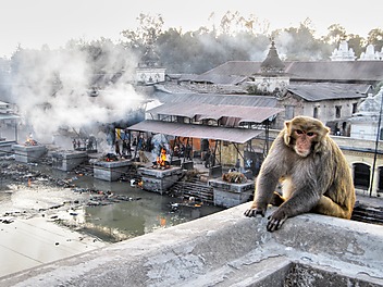 Płonące stosy pogrzebowe w miejscowości Pashupatinah nad rzeką Bagmati, Nepal