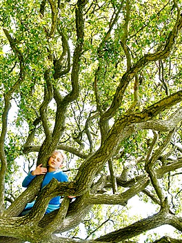 Dziewczynka przytulająca się do konarów wielkiego drzewa